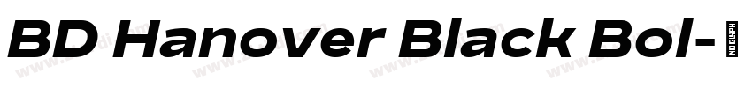 BD Hanover Black Bol字体转换
